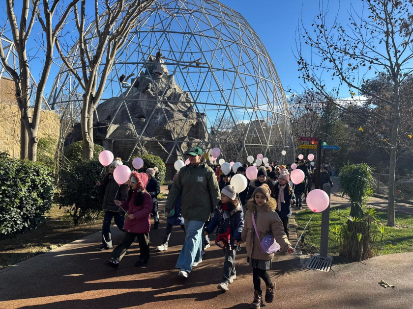 По инициативе вице-президента Фонда Гейдара Алиева Лейлы Алиевой в Бакинском зоологическом парке организовано праздничное мероприятие для детей (ФОТО)