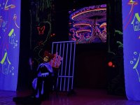 "Алиса в Стране чудес" в неоновом измерении: современная сценическая магия в Баку (ФОТО)