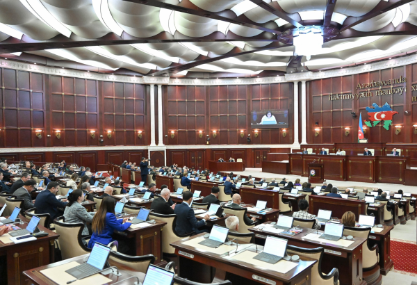 Милли Меджлис создаст рабочие группы по межпарламентским связям с рядом стран