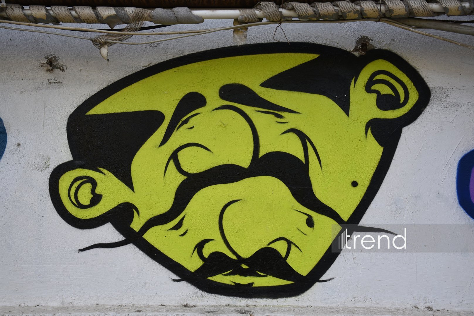 Искусство граффити на улицах Баку - живой организм, способный чувствовать, говорить и меняться (ФОТО)