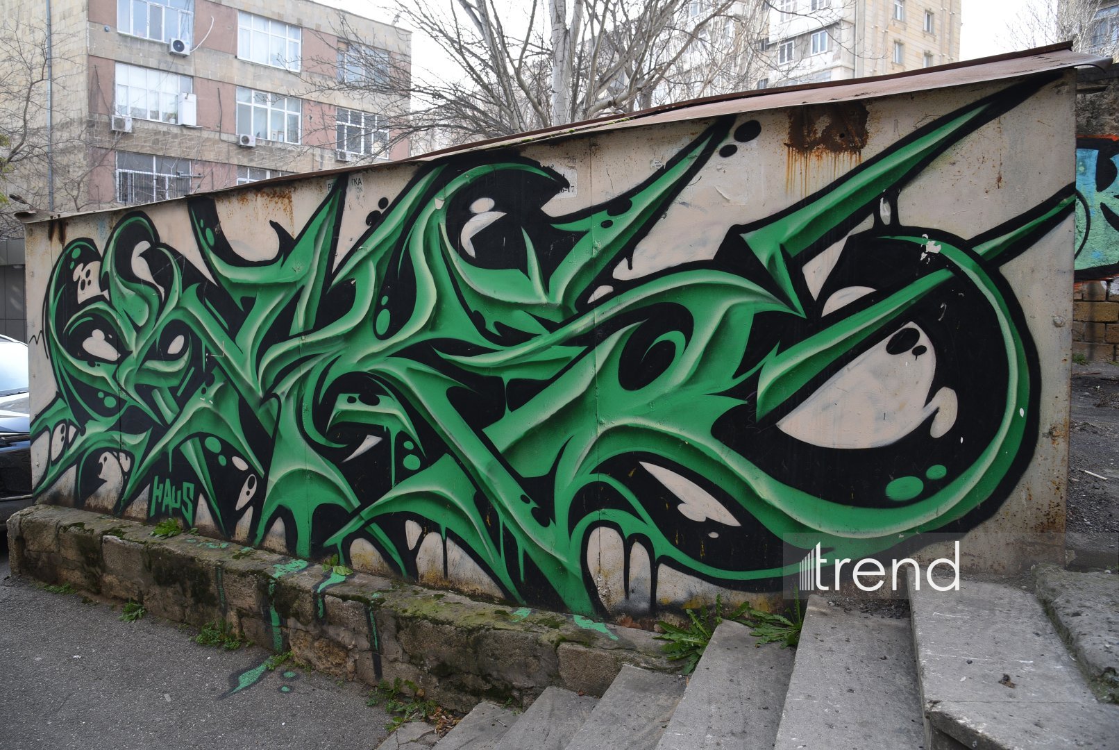 Искусство граффити на улицах Баку - живой организм, способный чувствовать, говорить и меняться (ФОТО)