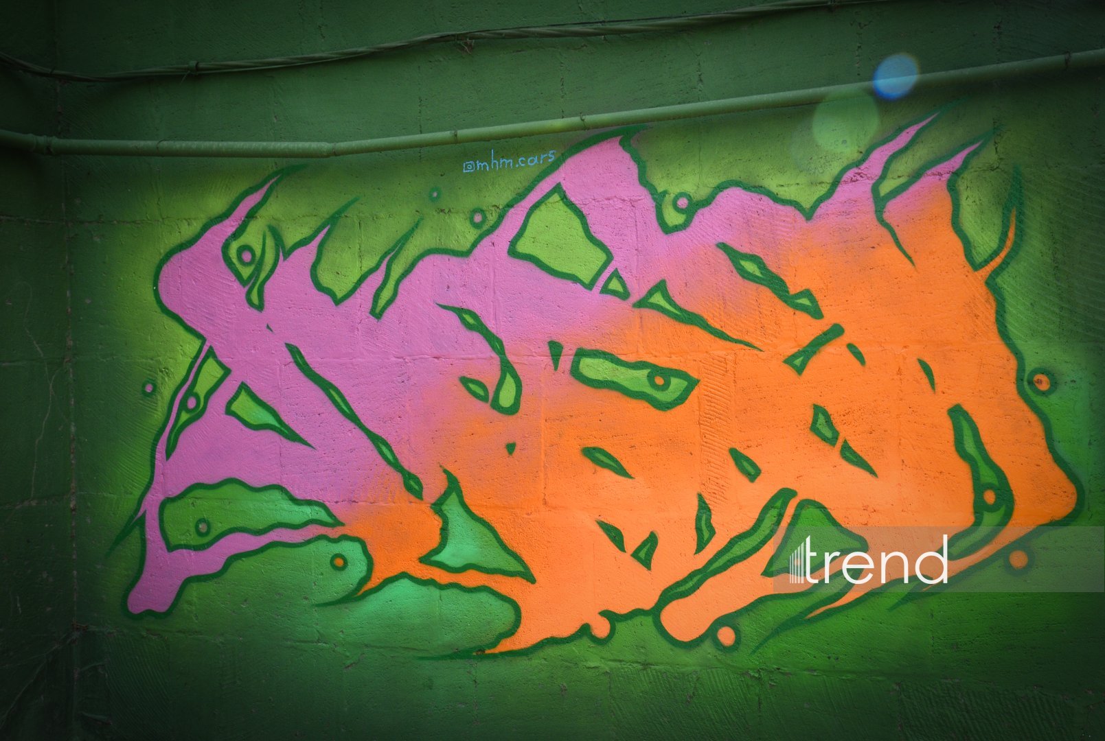 Искусство граффити на улицах Баку - живой организм, способный чувствовать, говорить и меняться (ФОТО)