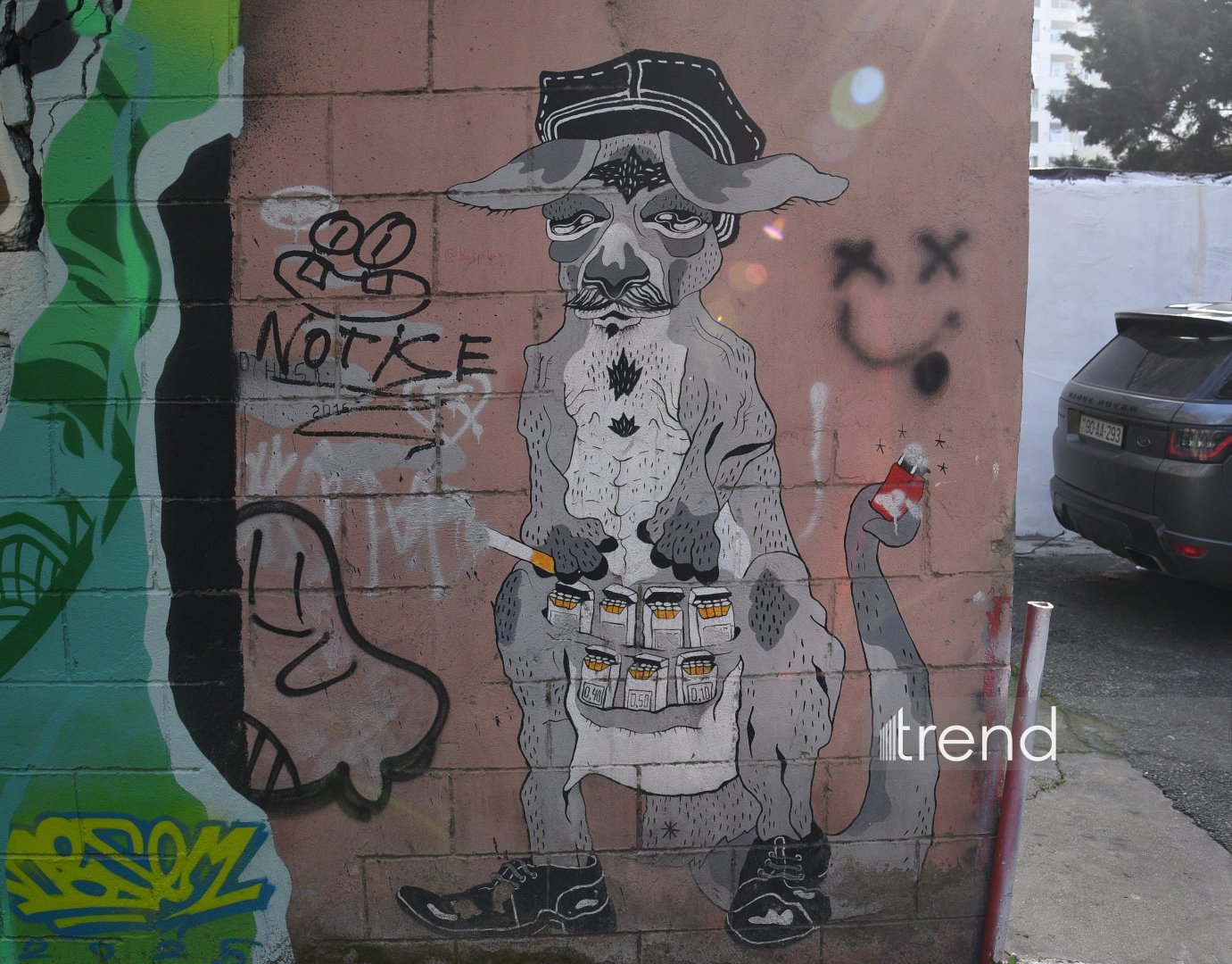 Искусство граффити на улицах Баку - живой организм, способный чувствовать, говорить и меняться (ФОТО)