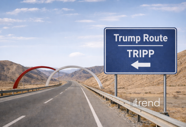 Узбекистан рассматривает TRIPP как многоуровневую платформу возможностей - эксперт