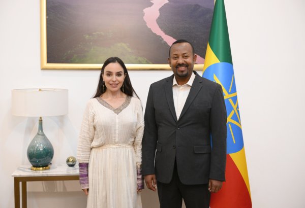 Вице-президент Фонда Гейдара Алиева Лейла Алиева встретилась с премьер-министром Эфиопии (ФОТО)