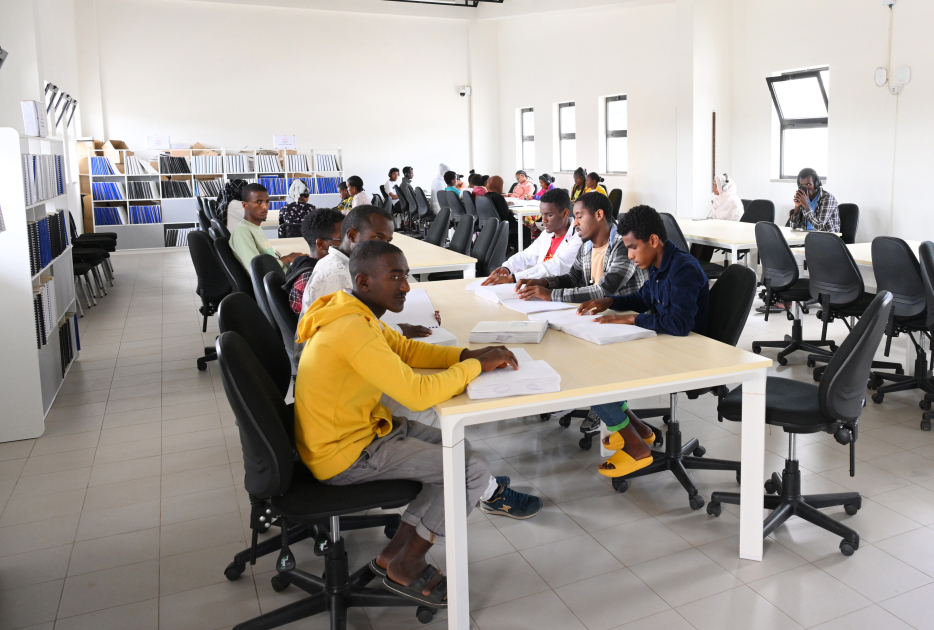 Вице-президент Фонда Гейдара Алиева Лейла Алиева ознакомилась с рядом социальных и культурных объектов в Аддис-Абебе (ФОТО)