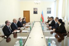 Обсуждены расширение вакцинации и инновационных методов лечения между Минздравом Азербайджана и Pfizer (ФОТО)