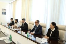 Обсуждены расширение вакцинации и инновационных методов лечения между Минздравом Азербайджана и Pfizer (ФОТО)