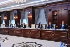 В комитете Милли Меджлиса Азербайджана по правам человека состоялось первое в этом году заседание (ФОТО)