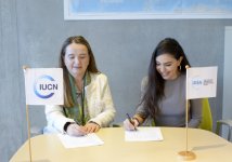 Вице-президент Фонда Гейдара Алиева Лейла Алиева и Гретель Агилар обсудили в Швейцарии возможности сотрудничества (ФОТО)