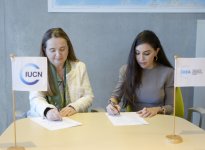 Вице-президент Фонда Гейдара Алиева Лейла Алиева и Гретель Агилар обсудили в Швейцарии возможности сотрудничества (ФОТО)