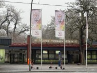 Из Германии в Азербайджан отправлены 18 зубров (ФОТО)