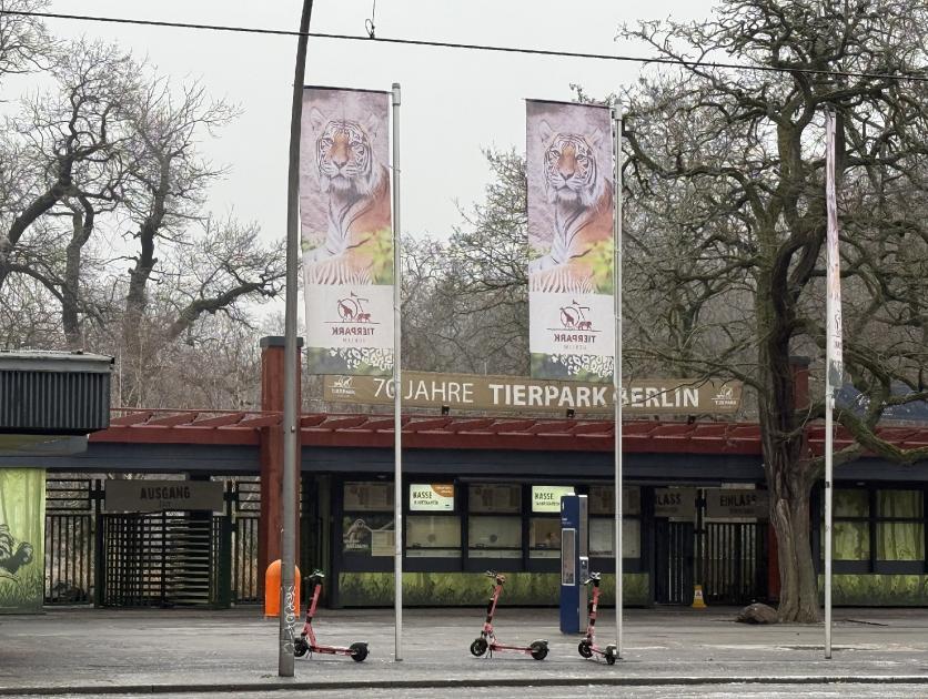 Из Германии в Азербайджан отправлены 18 зубров (ФОТО)