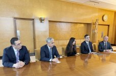 Вице-президент Фонда Гейдара Алиева Лейла Алиева встретилась с генеральным директором Женевского офиса ООН (ФОТО)