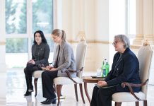 Президент Ильхам Алиев принял верительные грамоты новоназначенного посла Австралии в Азербайджане (ФОТО)