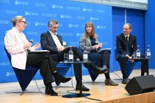 Азербайджан представил опыт развития транспорта на Международном транспортном форуме (ФОТО)