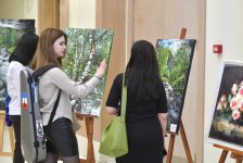 Художник сегодняшнего дня – представлен проект по популяризации азербайджанских талантов (ФОТО)
