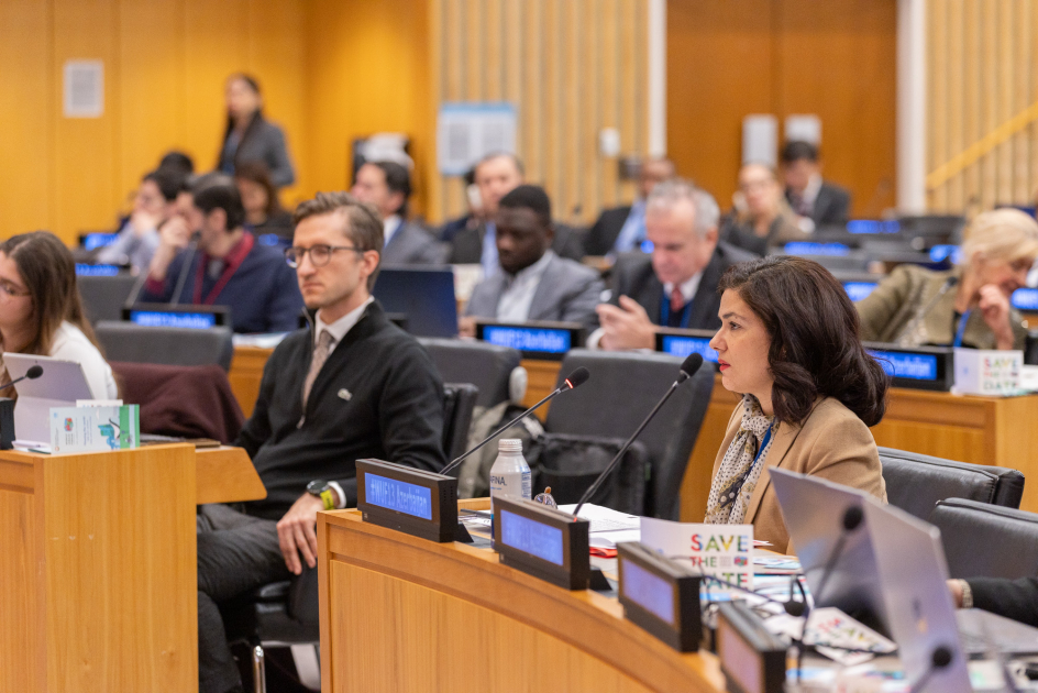 В штаб-квартире ООН в Нью-Йорке прошли мероприятия, посвященные WUF13 (ФОТО)