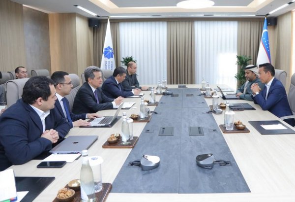 Компания e& заинтересована в расширении сотрудничества с Узбекистаном