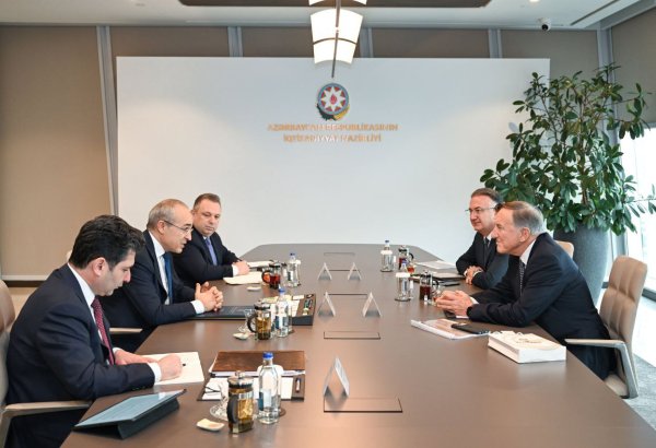 Обсуждены вопросы потенциальной деятельности Eczacıbaşı Holding в Азербайджане