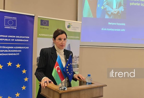 ЕС поддерживает муниципалитеты Азербайджана в сфере климатической и энергетической политики - посол