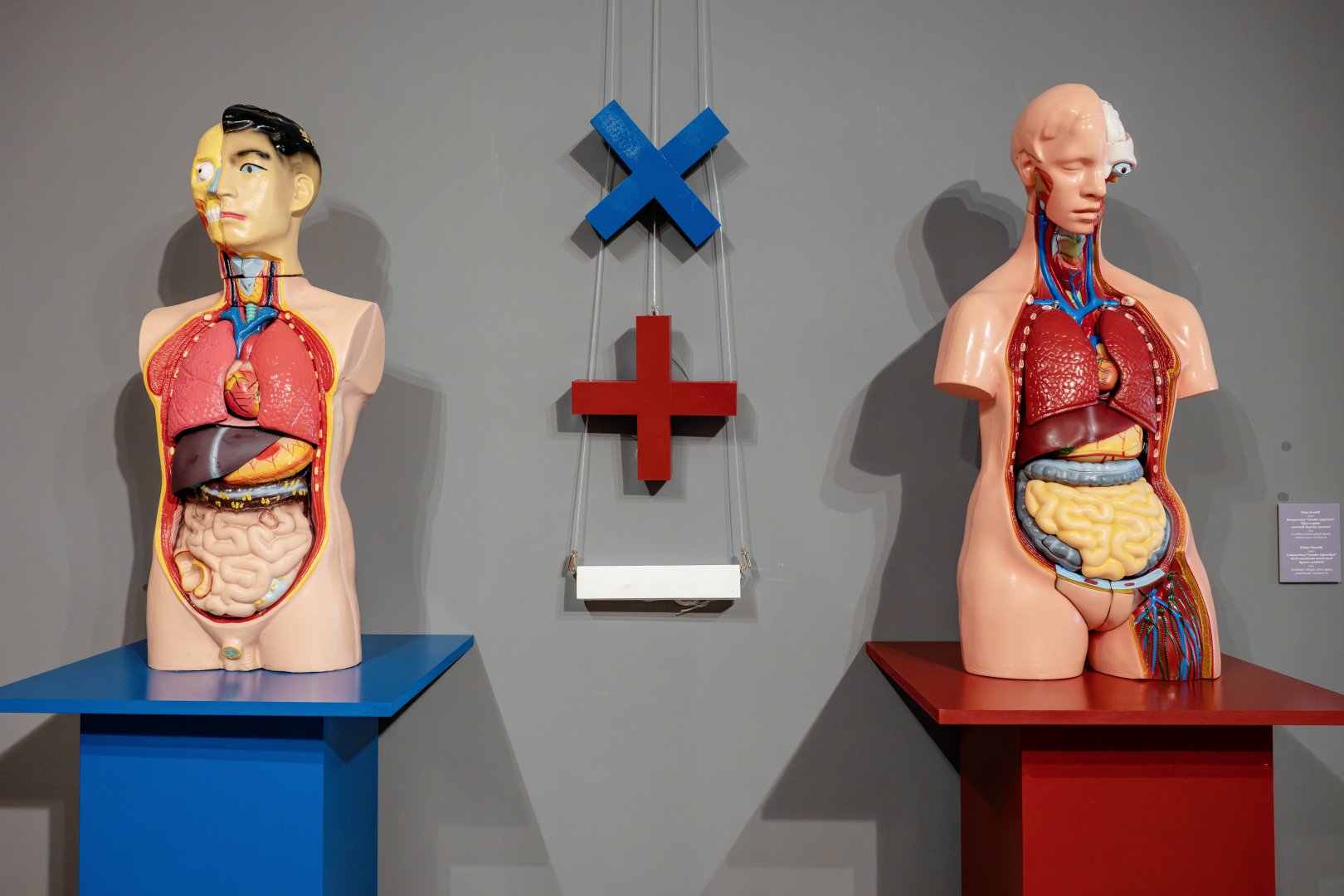 В Баку появились трещины во времени - "Антиномия" Эльчина Шамилли раздвигает границы восприятия (ФОТО)