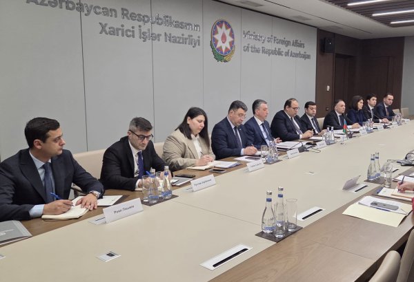Состоялись консульские консультации между Азербайджаном и Грузией (ФОТО)
