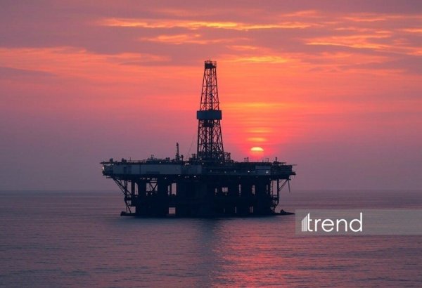 Названы крупнейшие импортеры азербайджанской нефти в январе