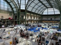 Картина азербайджанской художницы украсила главный арт-форум Парижа (ФОТО)