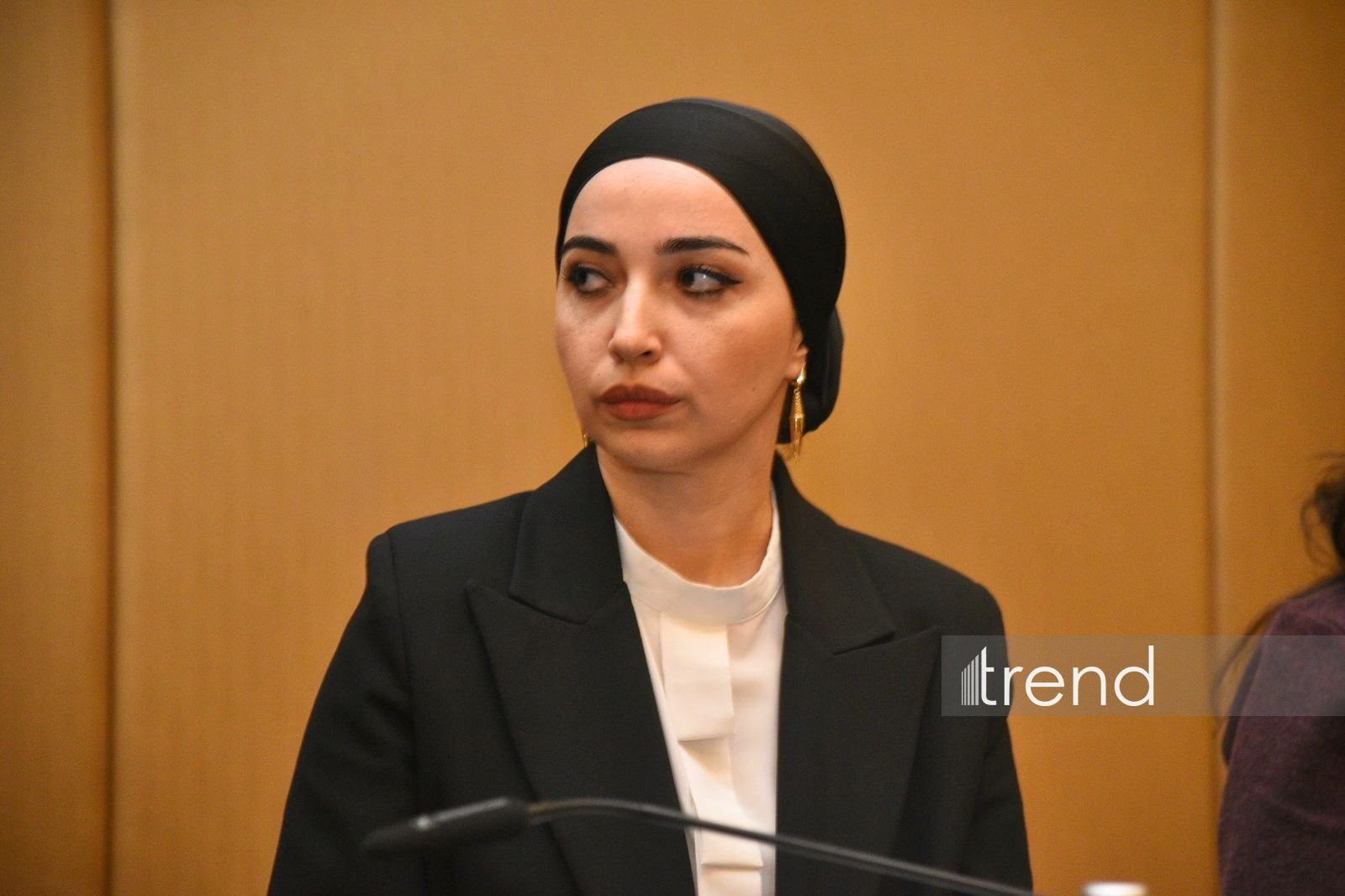 В Баку состоялась международная конференция "C6: Единый регион, общее будущее - усиление стратегического диалога" (ФОТО)