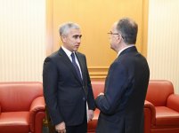 Вице-президент Фонда Гейдара Алиева Лейла Алиева встретилась в Тиране с Президентом Албании Байрамом Бегаем (ФОТО)