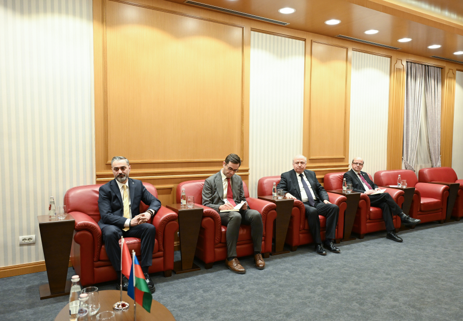 Вице-президент Фонда Гейдара Алиева Лейла Алиева встретилась в Тиране с Президентом Албании Байрамом Бегаем (ФОТО)