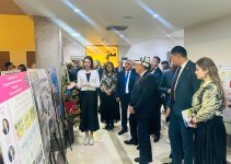 В Школе дизайна UNEC представлены следующие успешные результаты подхода PBL