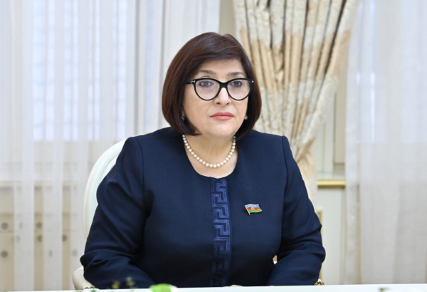 Сахиба Гафарова провела обсуждения с председателем комитета парламента Грузии