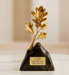 В Лачине состоялась историческая презентация кинофестиваля - Lachin International Film Festival (ФОТО)