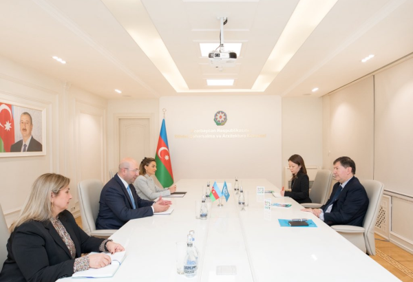 В Баку обсудили подготовку к WUF13 с резидент-координатором ООН (ФОТО)