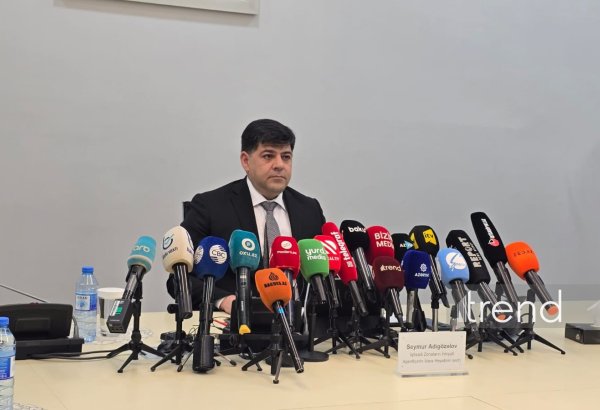 В этом году ожидается регистрация первого резидента Нахчыванского промпарка