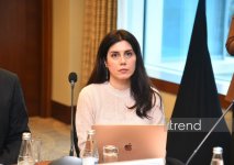 В Баку состоялся "круглый стол", посвященный водной безопасности (ФОТО)