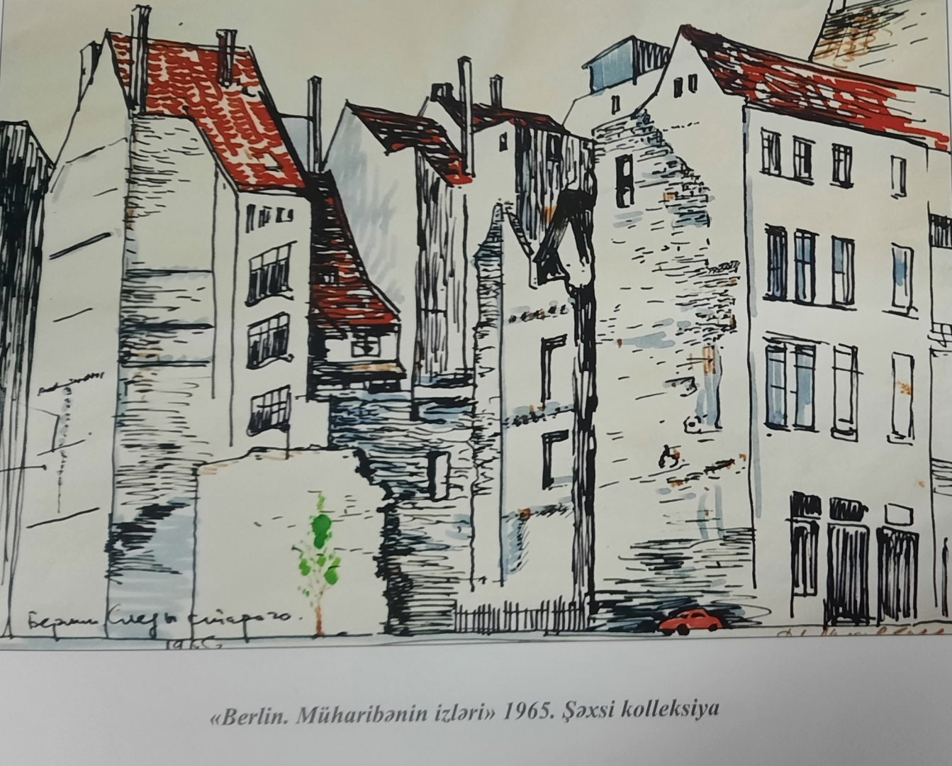 Невозмутимые верблюды пустыни Гоби и сказки азербайджанского села (ФОТО)