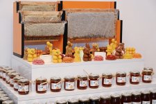 Вице-президент Фонда Гейдара Алиева Лейла Алиева побывала в гостях у семьи пчеловода в Губе (ФОТО)