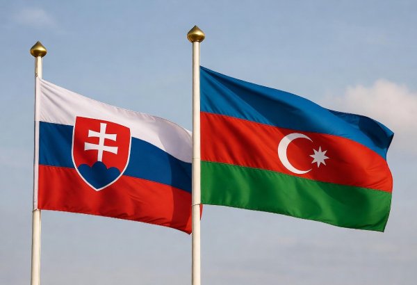 Азербайджан и Словакия укрепляют парламентское сотрудничество по линии молодежной дипломатии - посол (ВИДЕО)