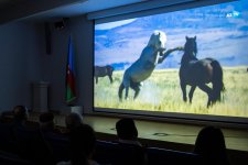 Историческая память Карабаха - объединяя язык изобразительного искусства и кино (ФОТО)