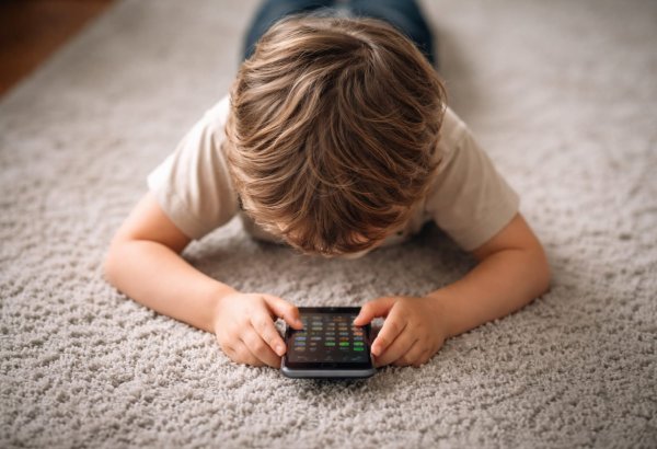 От цифровой безопасности к национальной: защита детей в цифровой среде как новый приоритет