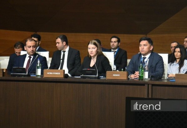 Азербайджан демонстрирует четкое видение развития "зеленой" энергетики - ACWA Power