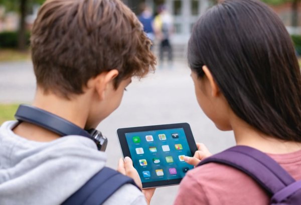 В Азербайджане может быть ограничена деятельность платформы “Roblox”