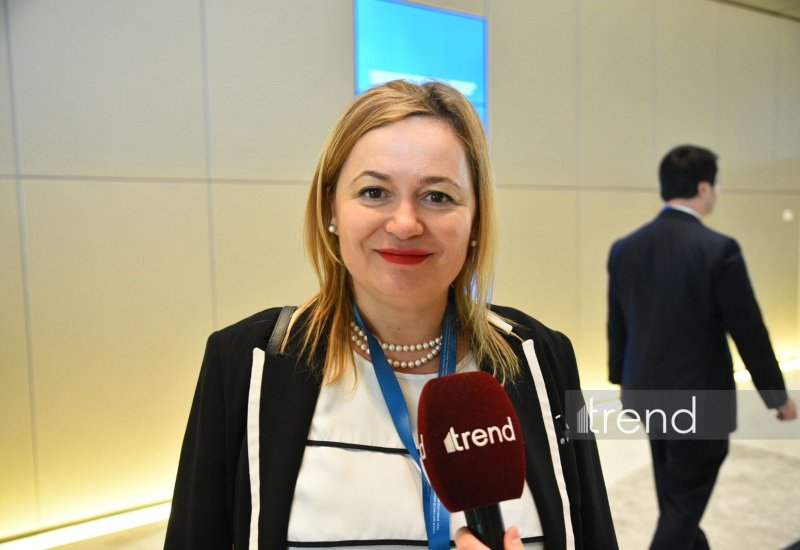 Болгария заинтересована в расширении энергосотрудничества с Азербайджаном – замминистра (Эксклюзивное интервью)