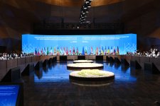 Лейла Алиева выступила на сессии «Проекты зеленой энергетики» (ФОТО)