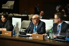 В Баку состоялись заседания Консультативных советов по Южному газовому коридору и "зеленой" энергетике (ФОТО)