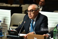 В Баку состоялись заседания Консультативных советов по Южному газовому коридору и "зеленой" энергетике (ФОТО)