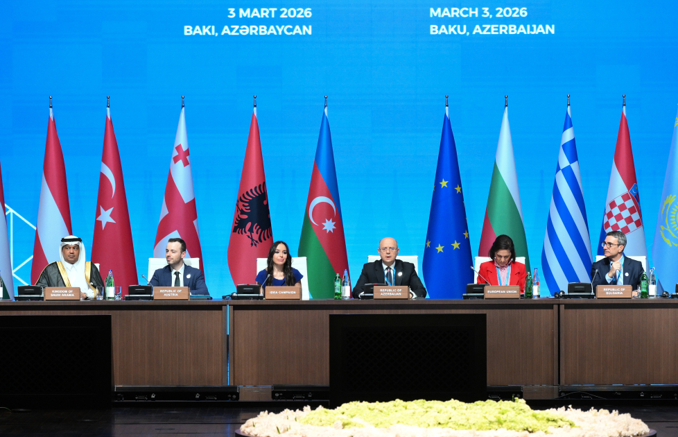 Лейла Алиева выступила на сессии «Проекты зеленой энергетики» (ФОТО)